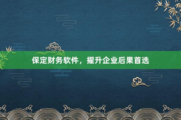 保定财务软件，擢升企业后果首选